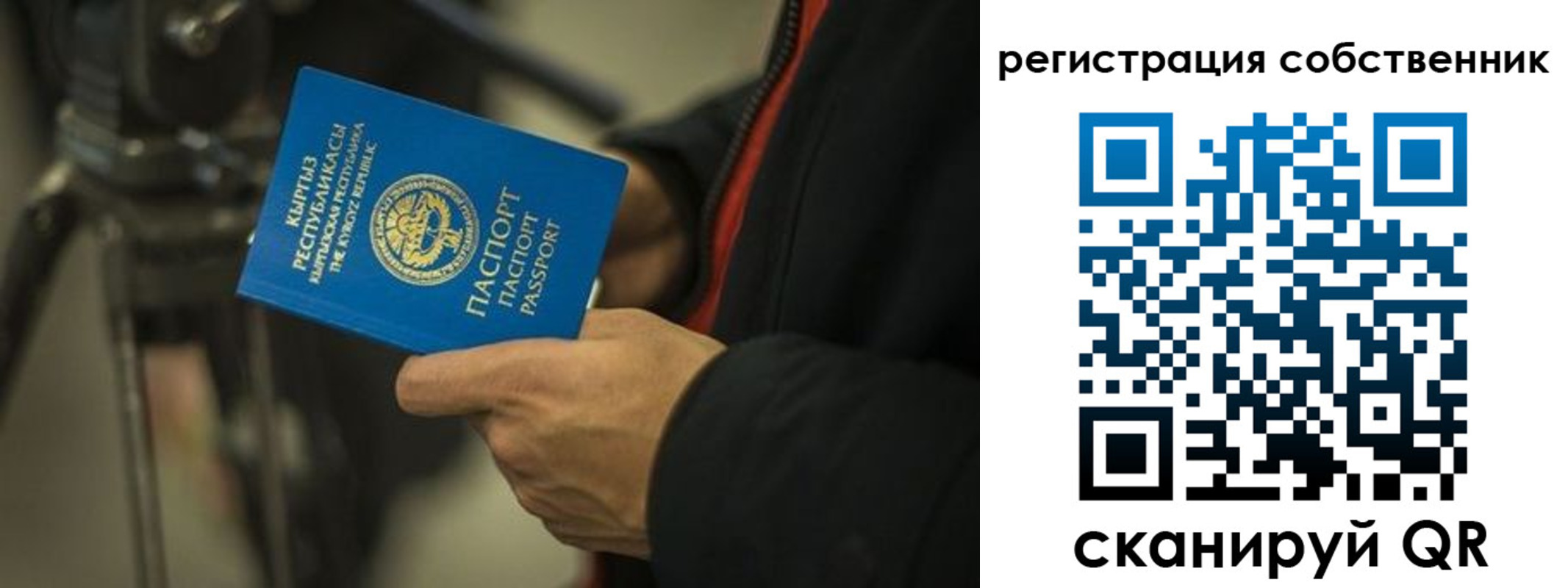 временная регистрация поиск в Сольцах